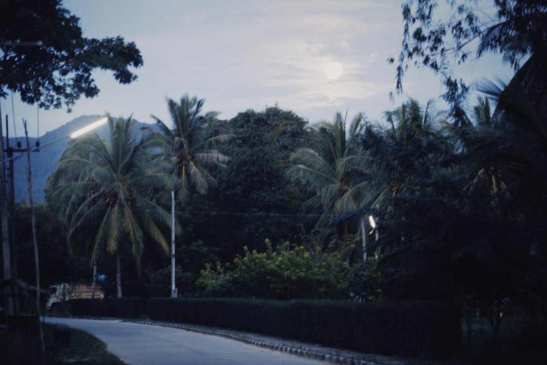 Detail Foto Pemandangan Film Analog Number 2
