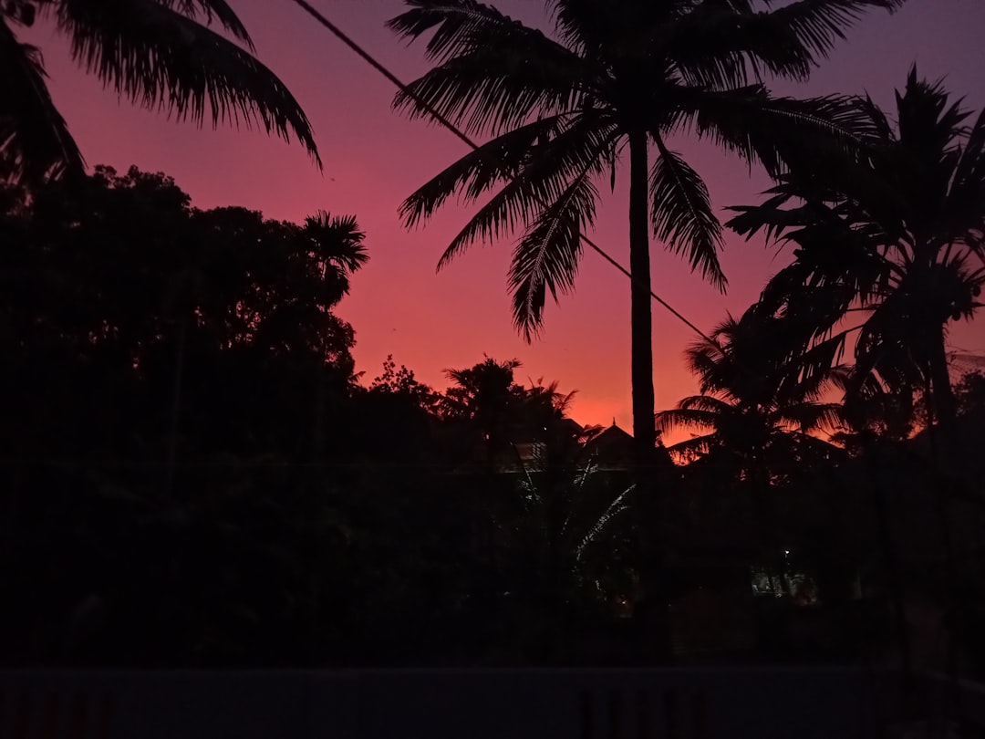 Detail Foto Sunset Aesthetic Tanpa Orang Number 5