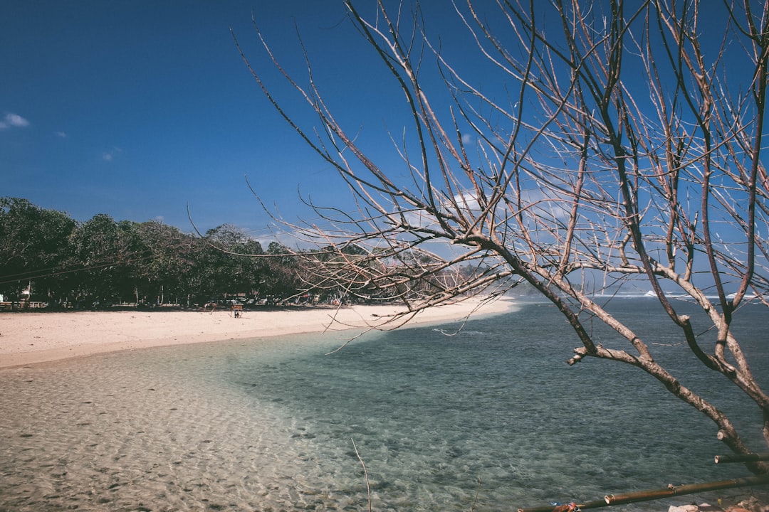 Gambar Pantai Vintage Untuk Wallpaper 33fe