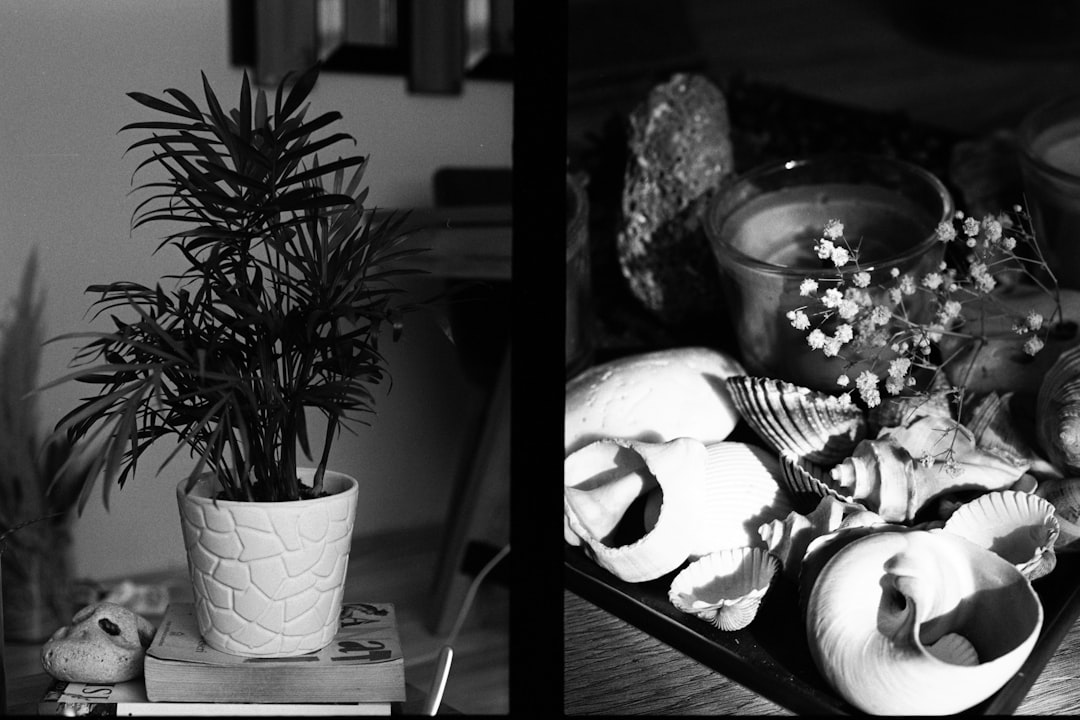 Detail Wohnzimmer Makeover Vorher Nachher Foto Collage Number 7