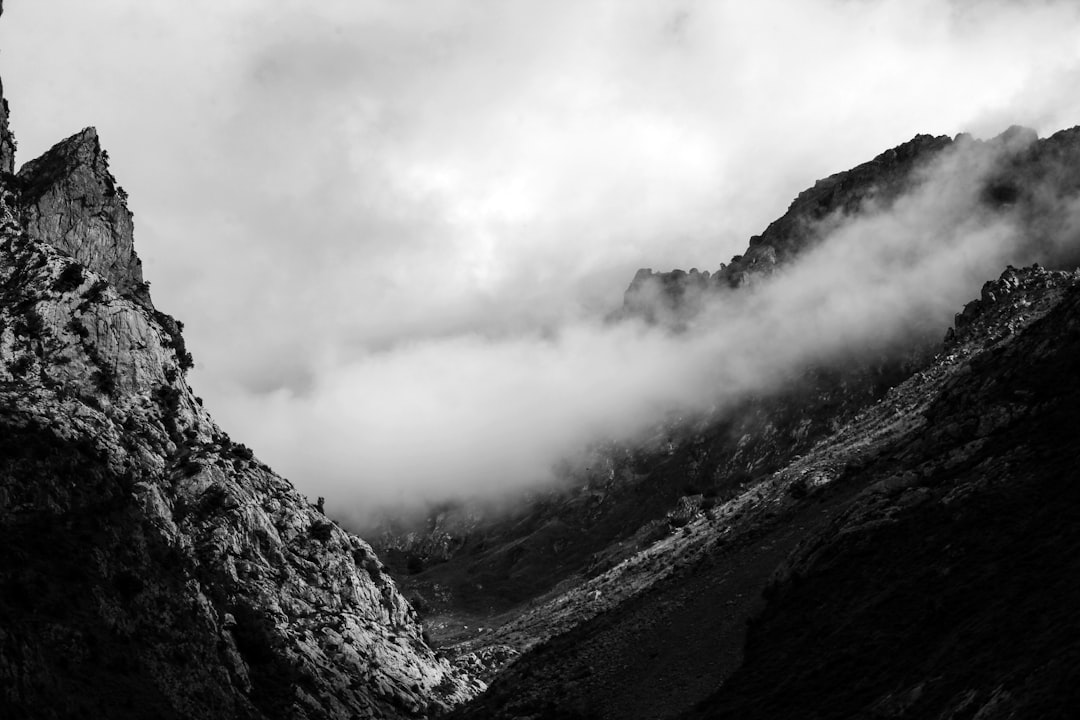 Detail Gambar Gunung Minimalis Hitam Putih Number 20