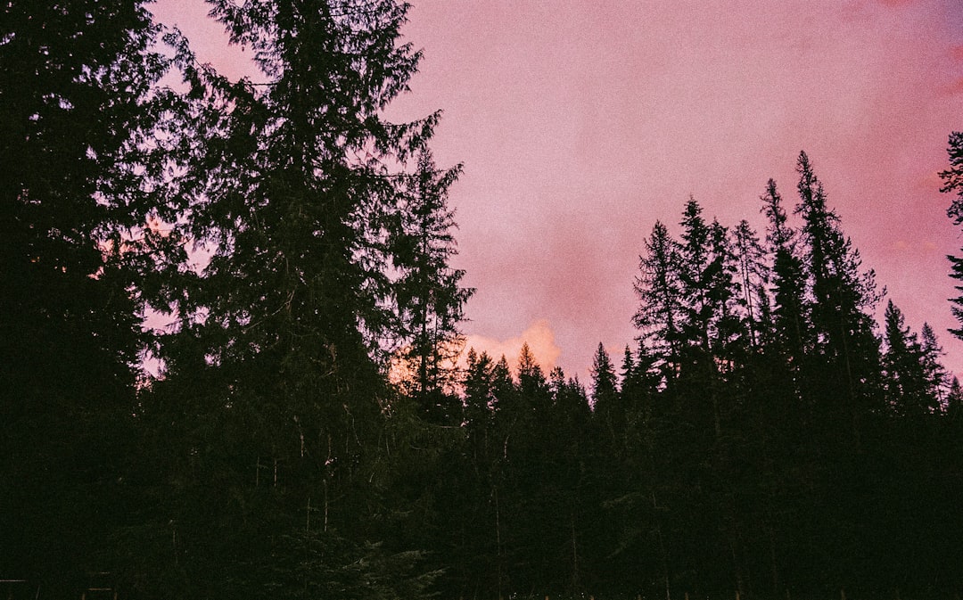 Detail Foto Landscape Aesthetic Untuk Instagram Number 18