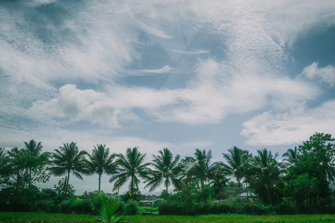 Detail Background Pemandangan Alam Png Number 8