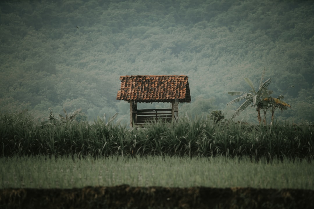 Detail Gambar Pemandangan Alam Vintage Number 4