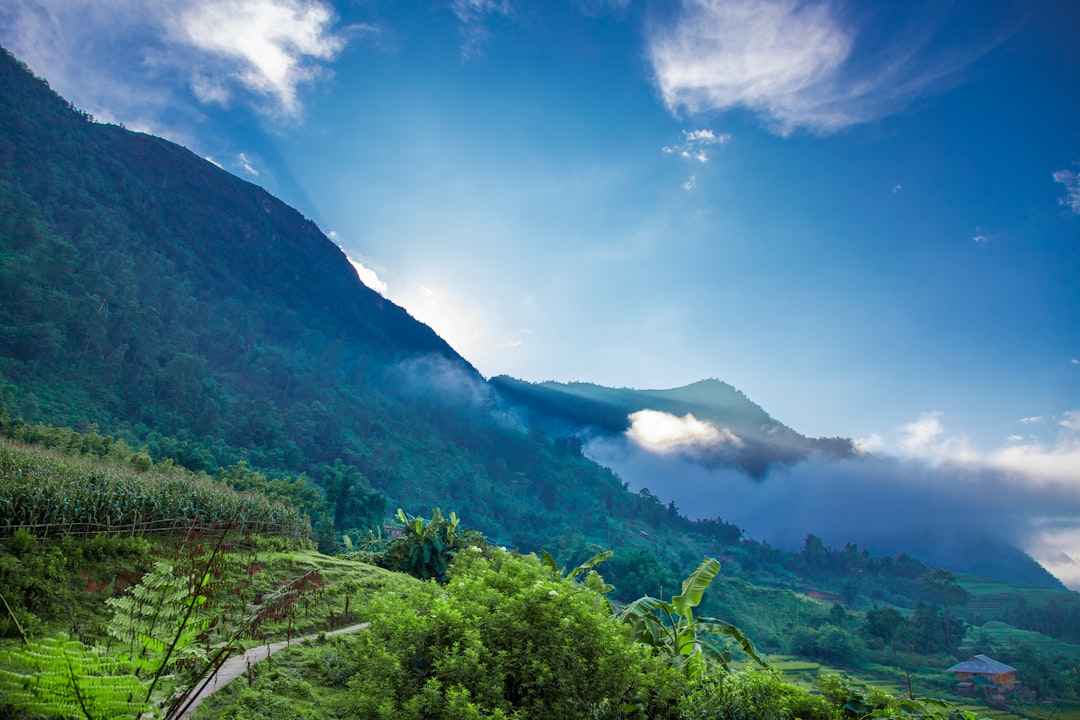 Detail Background Pemandangan Alam Png Number 4
