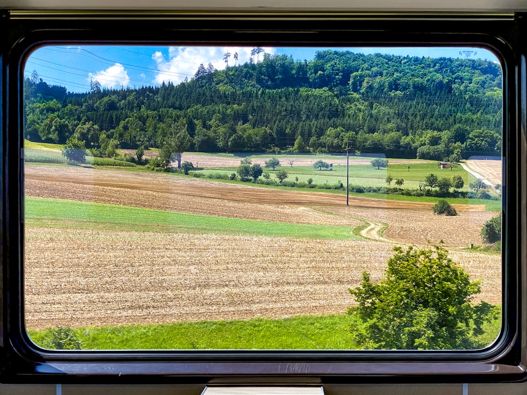 Zugreise Mit Blick Aus Fenster Foto 501a