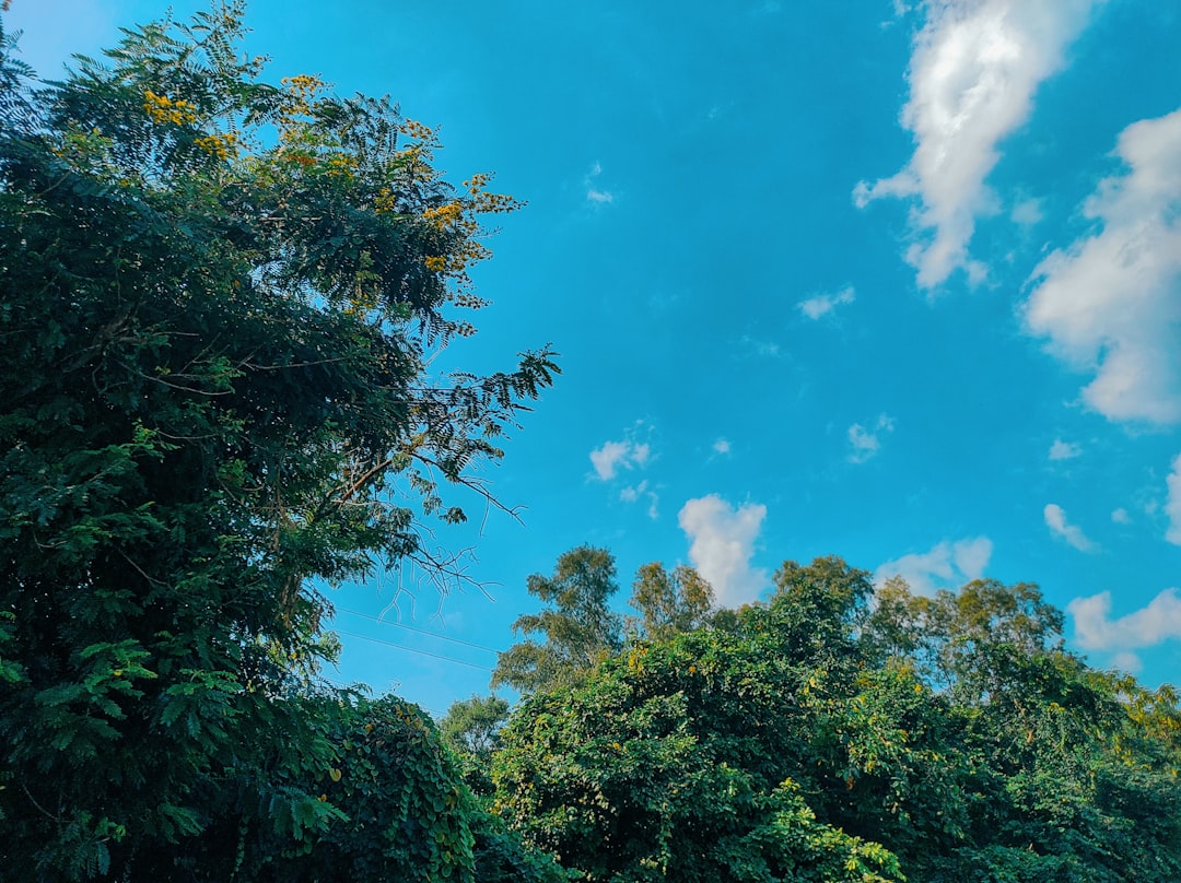 Detail Foto Landscape Aesthetic Untuk Instagram Number 13