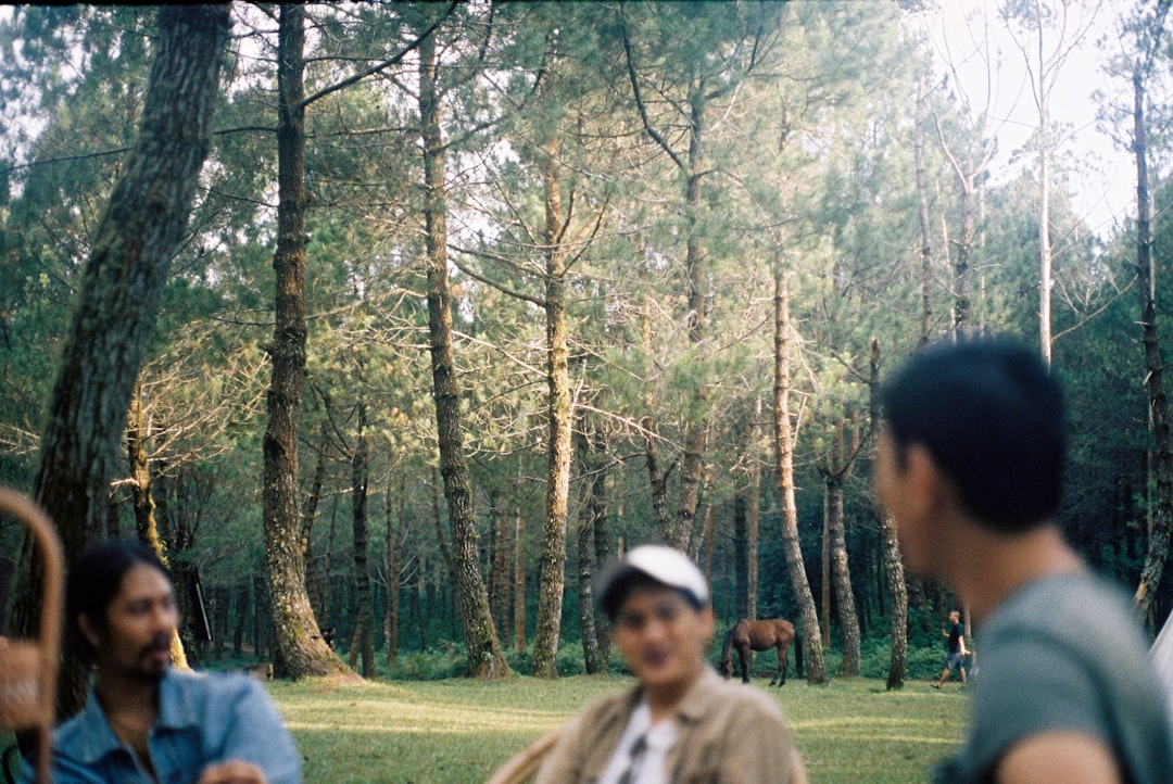 Foto Pemandangan Film Analog