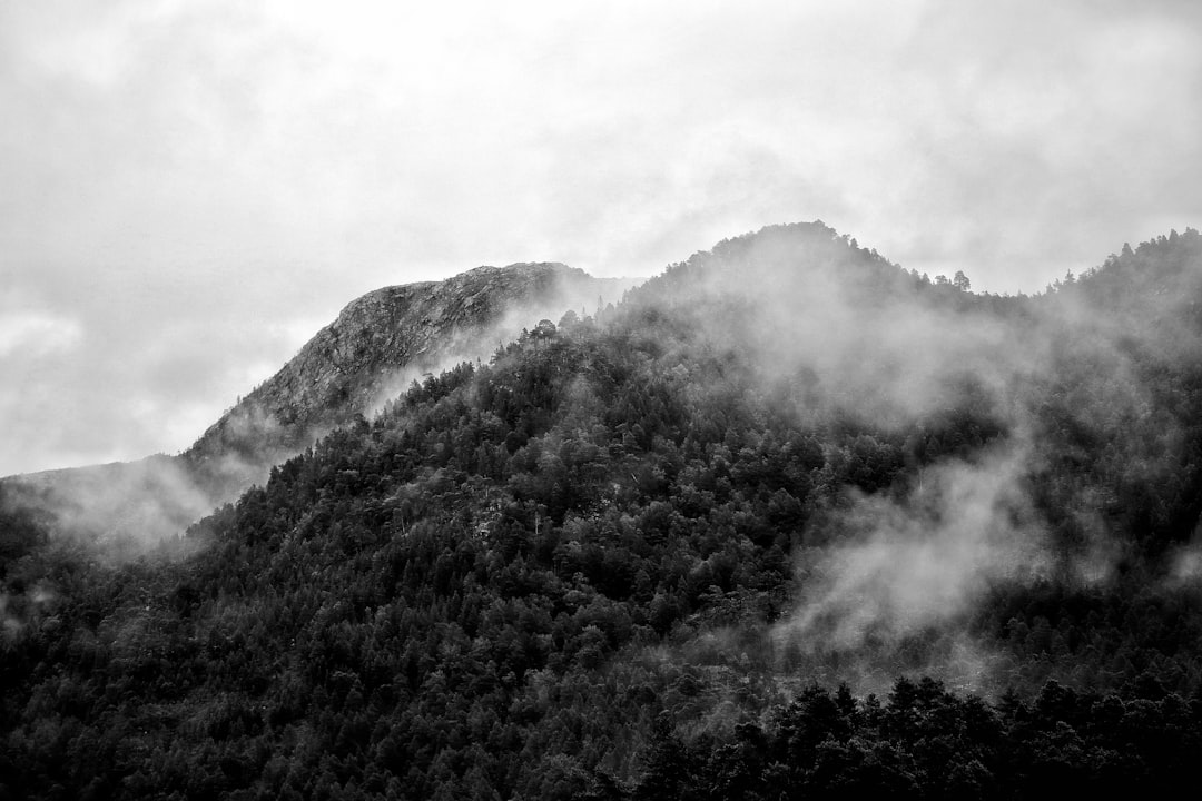 Detail Gambar Gunung Minimalis Hitam Putih Number 5