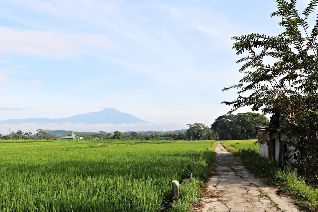 Detail Background Pemandangan Alam Png Number 6