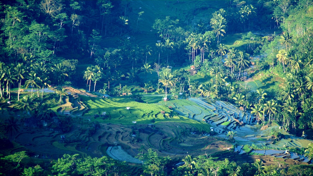 Gambar Lukisan Pemandangan Alam 4acd