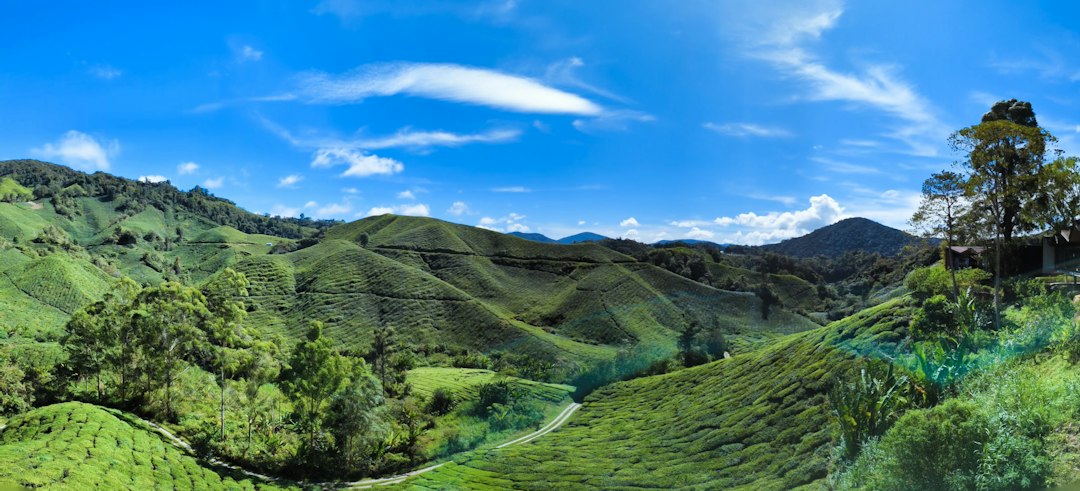 Detail Gambar Pemandangan Alam Png Transparan Number 18