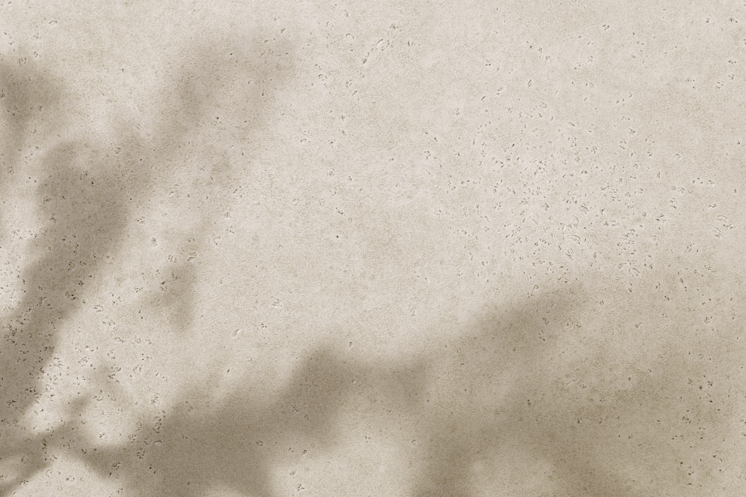 Detail Background Nature Aesthetic Beige Number 3
