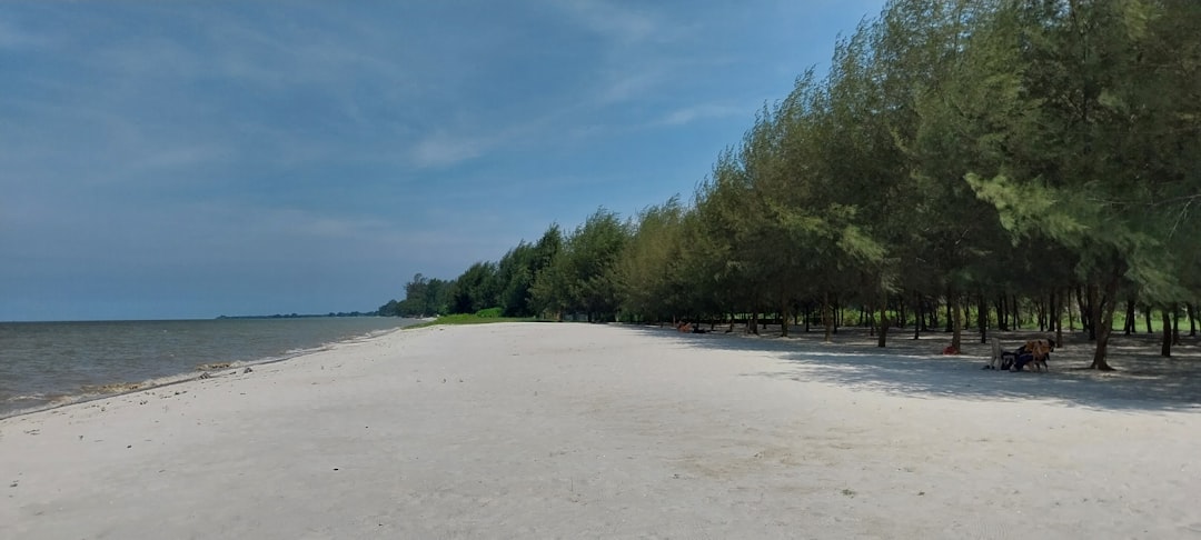 Detail Gambar Pantai Vintage Untuk Wallpaper Number 10