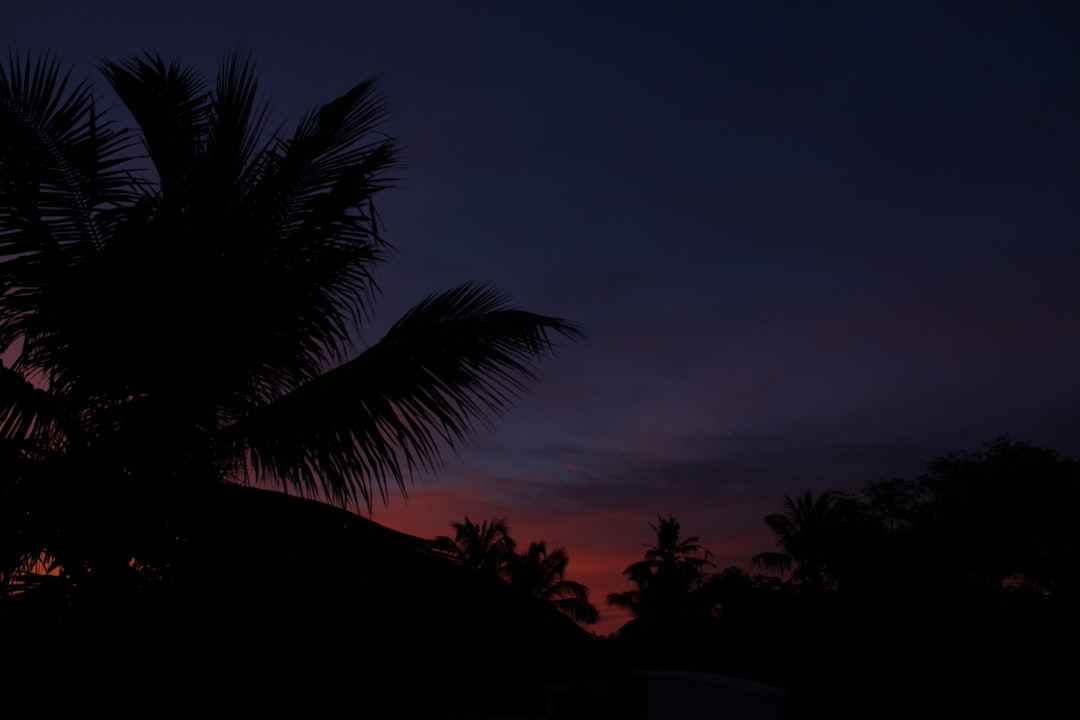 Detail Foto Sunset Aesthetic Tanpa Orang Number 6