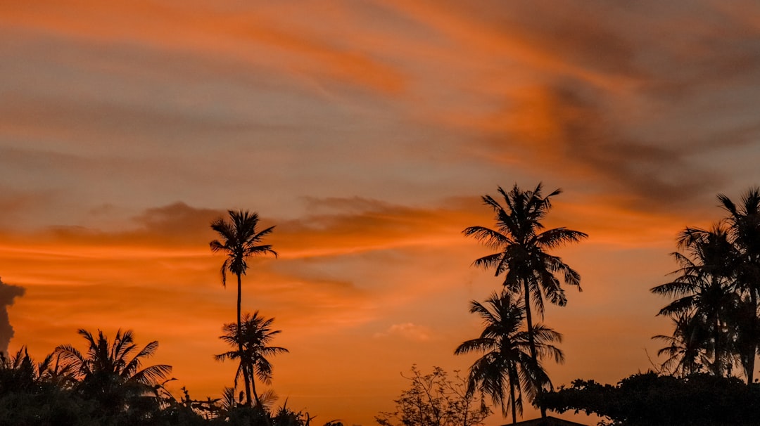 Detail Foto Sunset Aesthetic Tanpa Orang Number 12