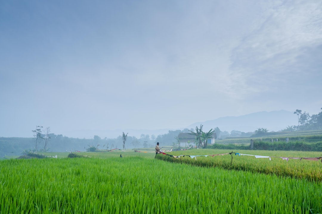 Detail Background Pemandangan Alam Png Number 3