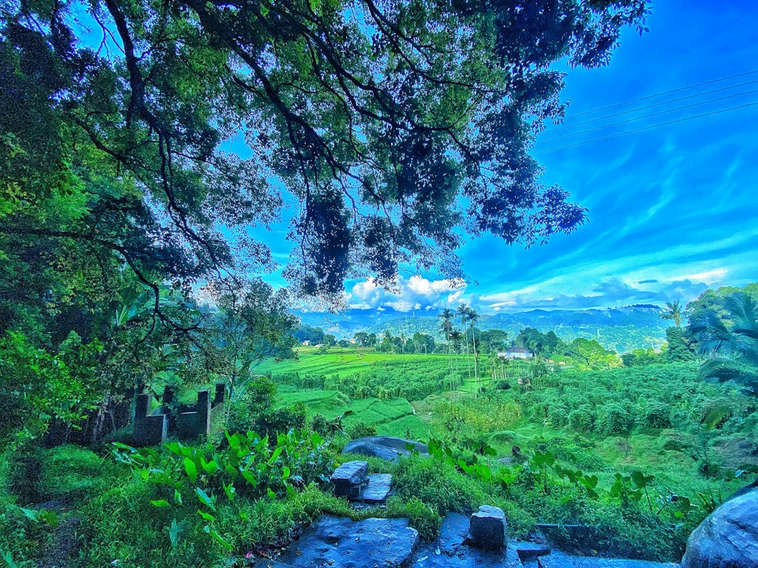 Detail Gambar Pemandangan Alam Png Transparan Number 12