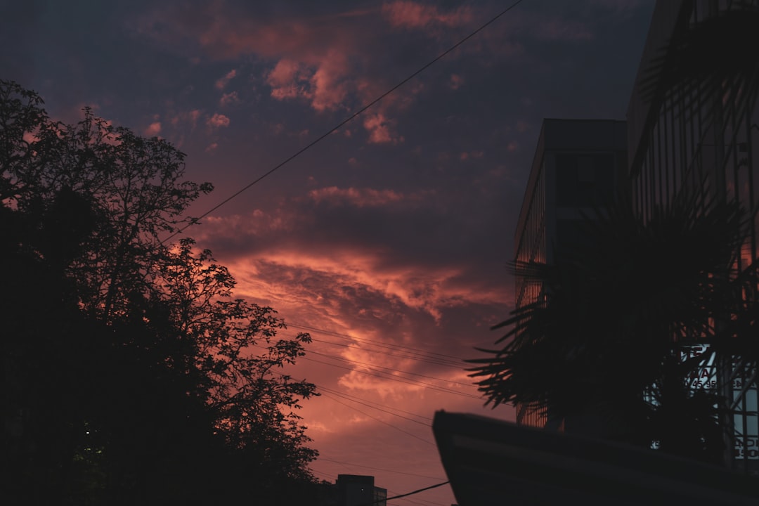 Detail Foto Sunset Aesthetic Tanpa Orang Number 4