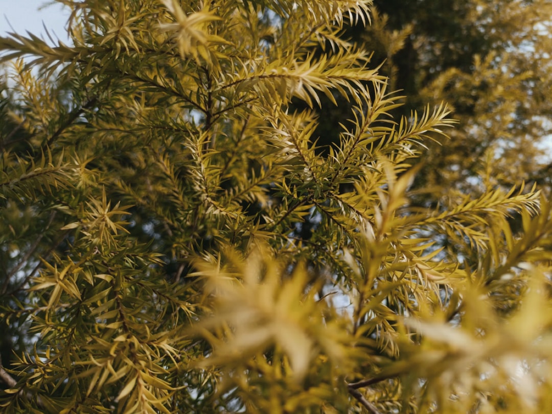 Detail Background Nature Aesthetic Beige Number 17