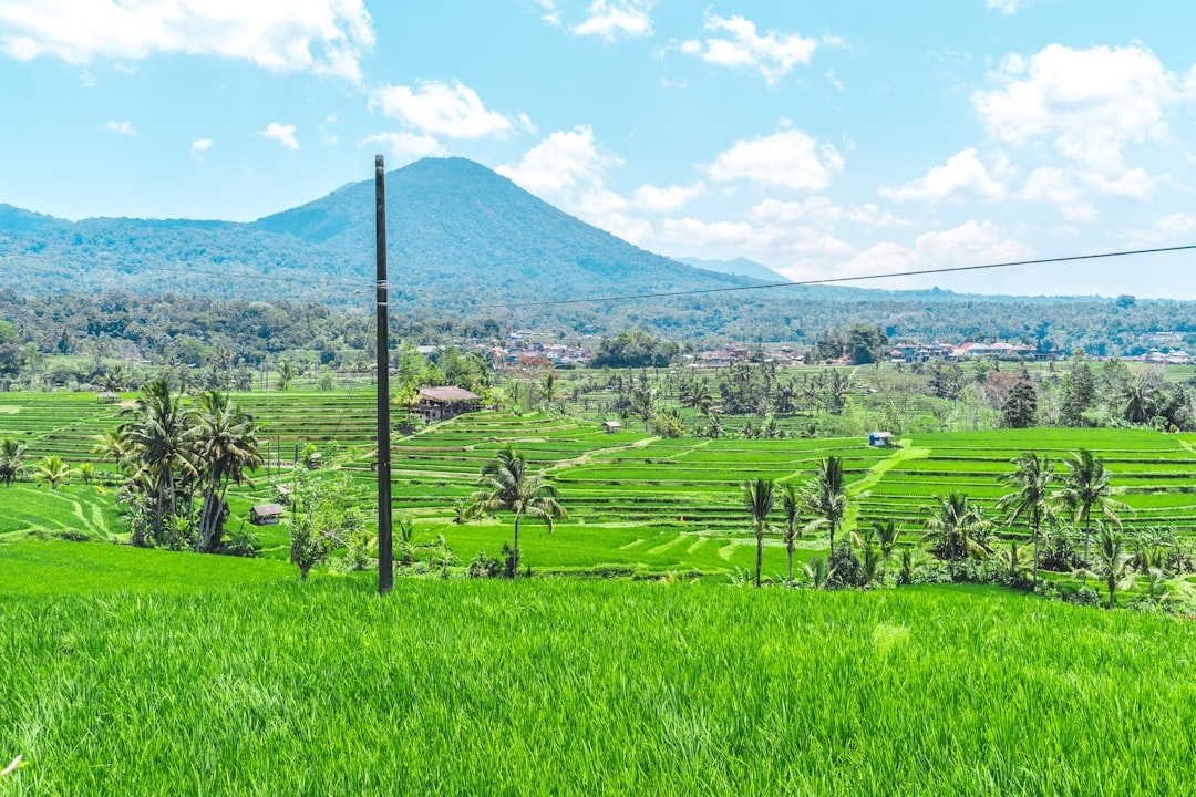 Detail Background Pemandangan Alam Png Number 14