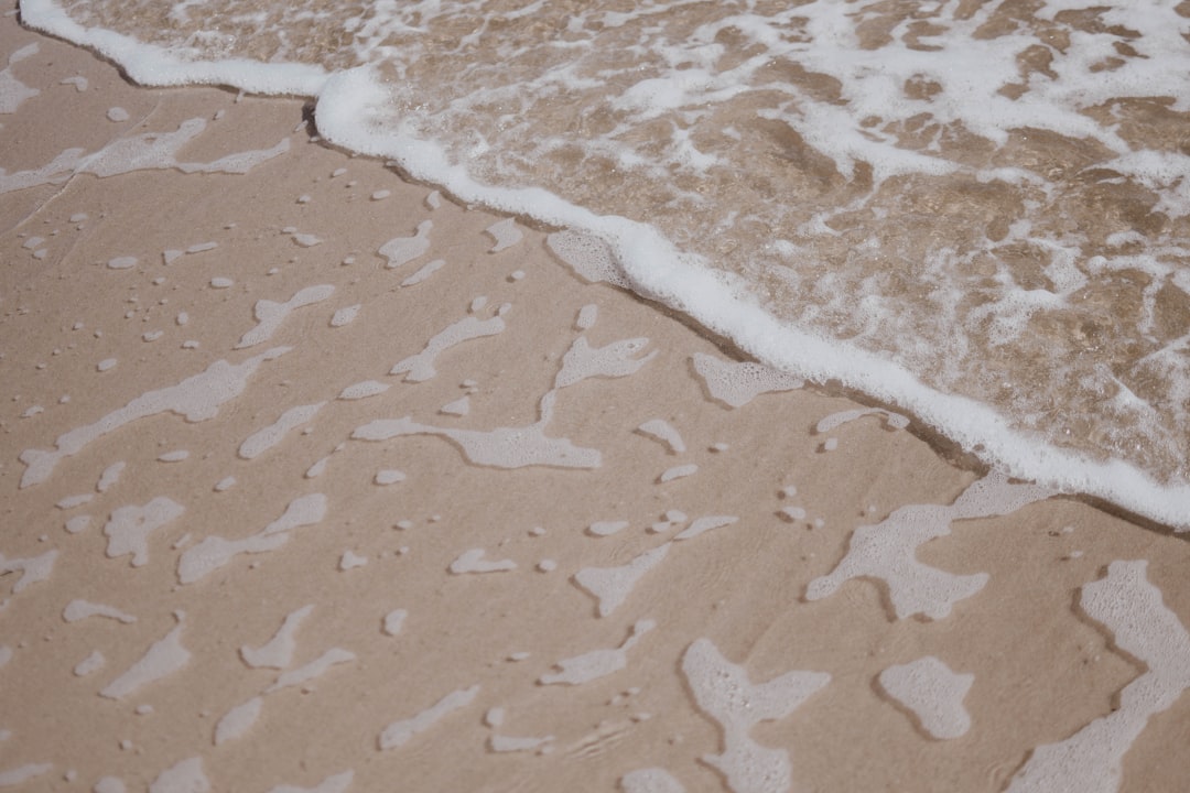 Detail Background Nature Aesthetic Beige Number 15