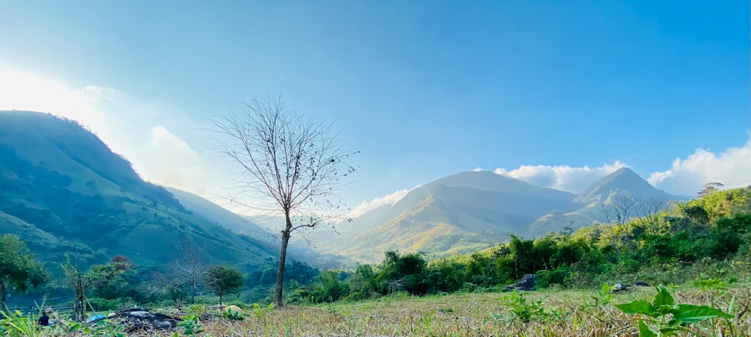 Detail Background Pemandangan Alam Png Number 11