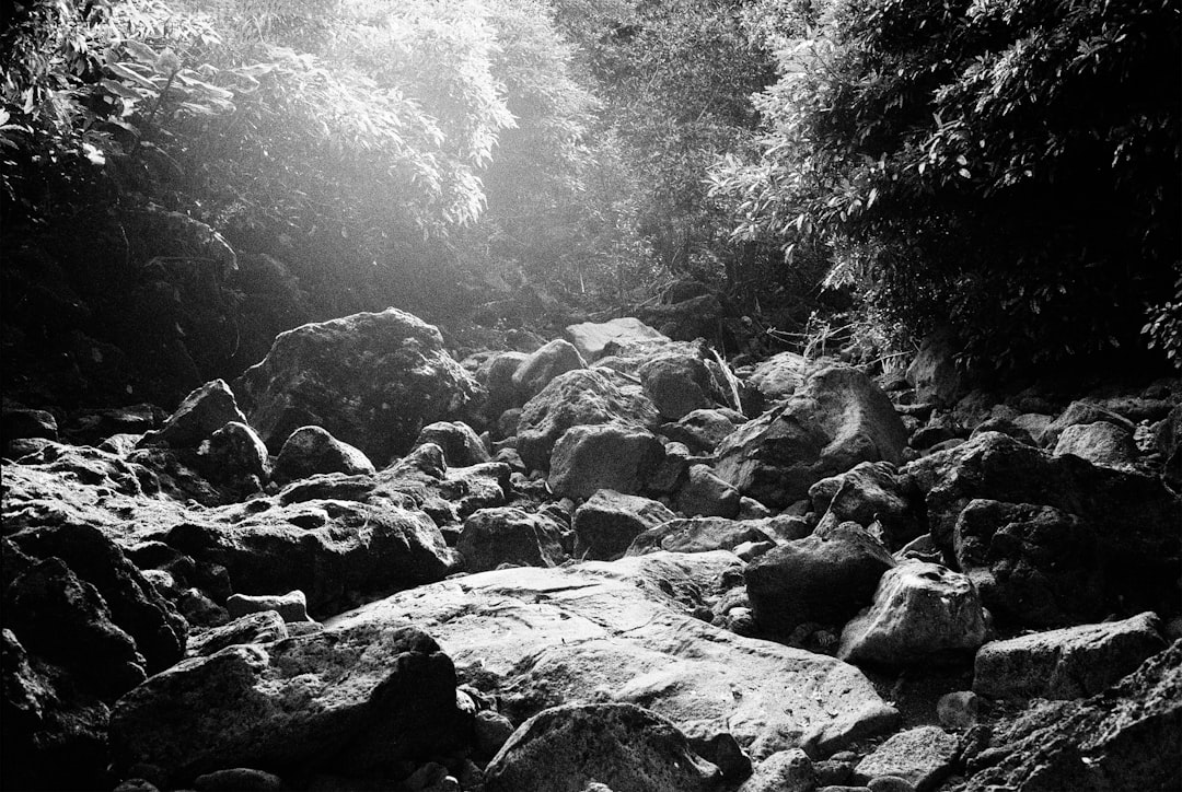 Detail Gambar Pemandangan Alam Hitam Putih Number 7