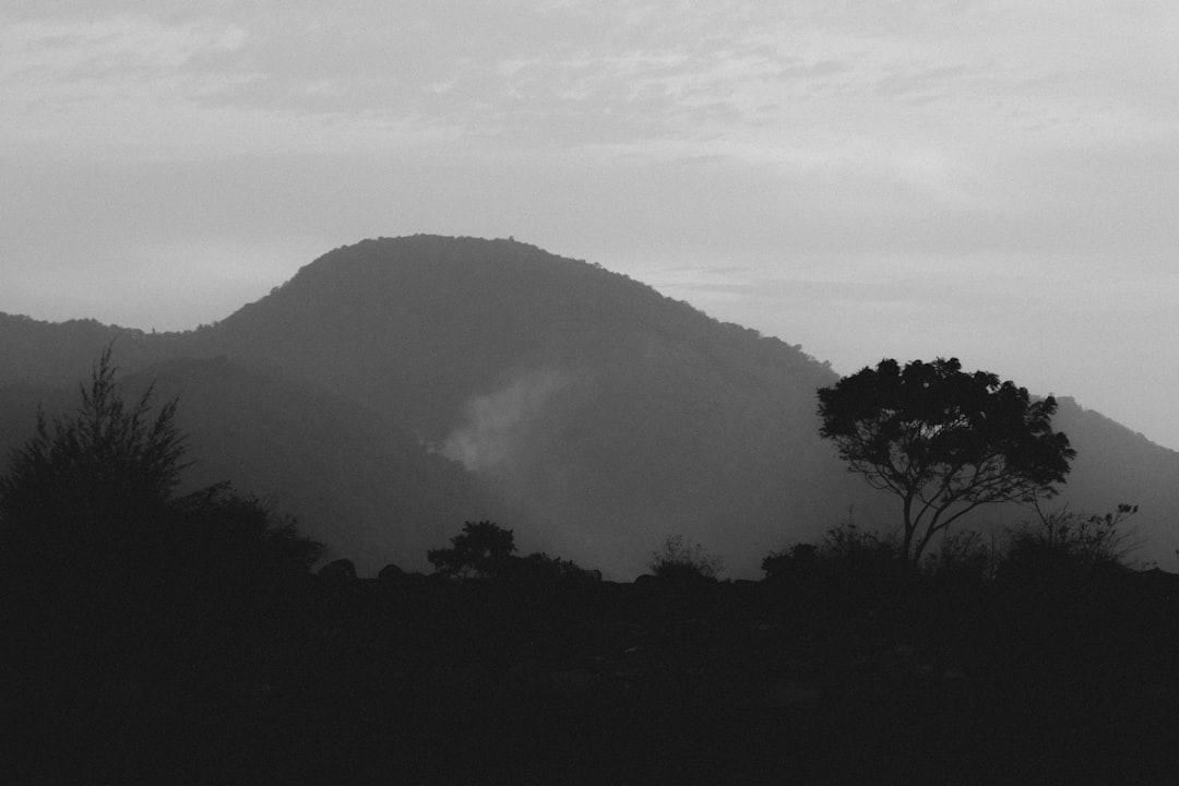 Detail Gambar Gunung Minimalis Hitam Putih Number 10
