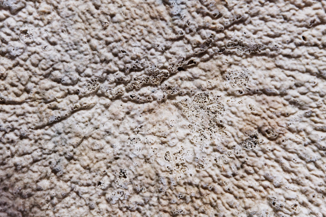 Detail Teppich Berber Stil Creme Schwarz Foto Number 17