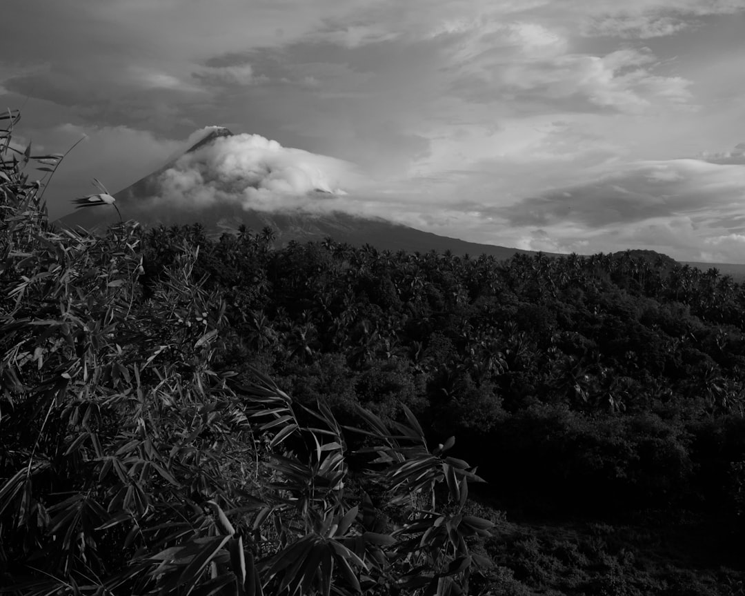 Detail Gambar Gunung Minimalis Hitam Putih Number 19
