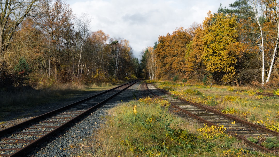 Bahnstrecke Durch Herbstwald Foto E7ce