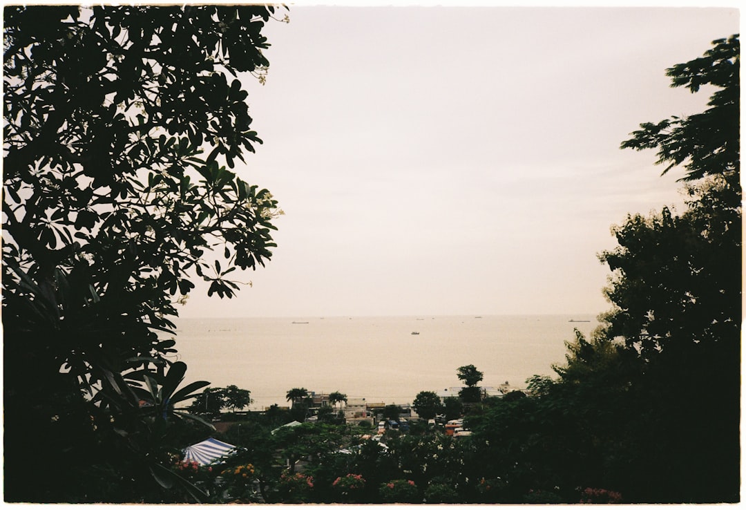 Detail Foto Pemandangan Film Analog Number 8