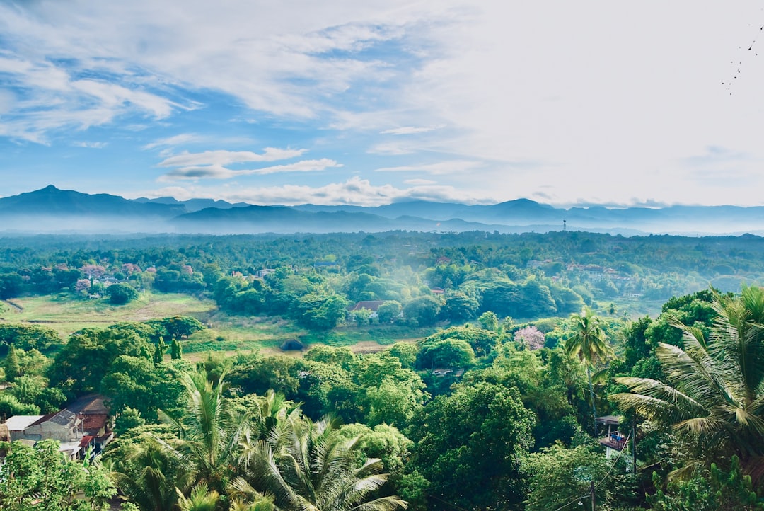 Detail Background Pemandangan Alam Png Number 18