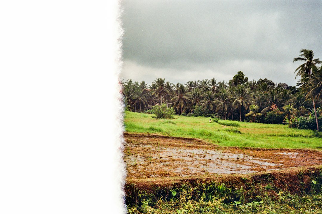 Detail Gambar Pemandangan Alam Png Transparan Number 4