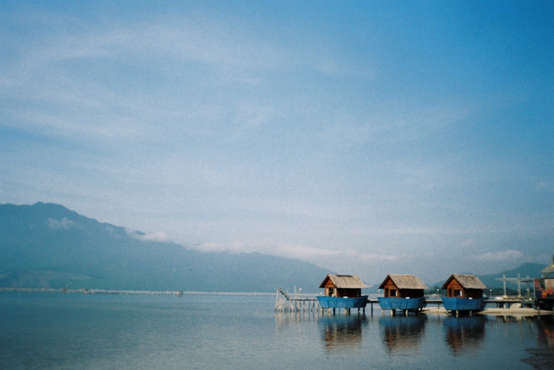 Detail Foto Pemandangan Film Analog Number 6