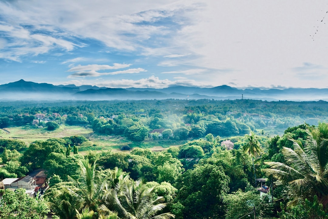 Detail Background Pemandangan Alam Png Number 15