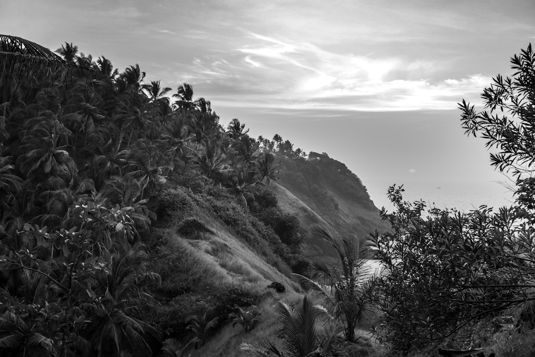 Detail Gambar Pemandangan Alam Hitam Putih Number 12