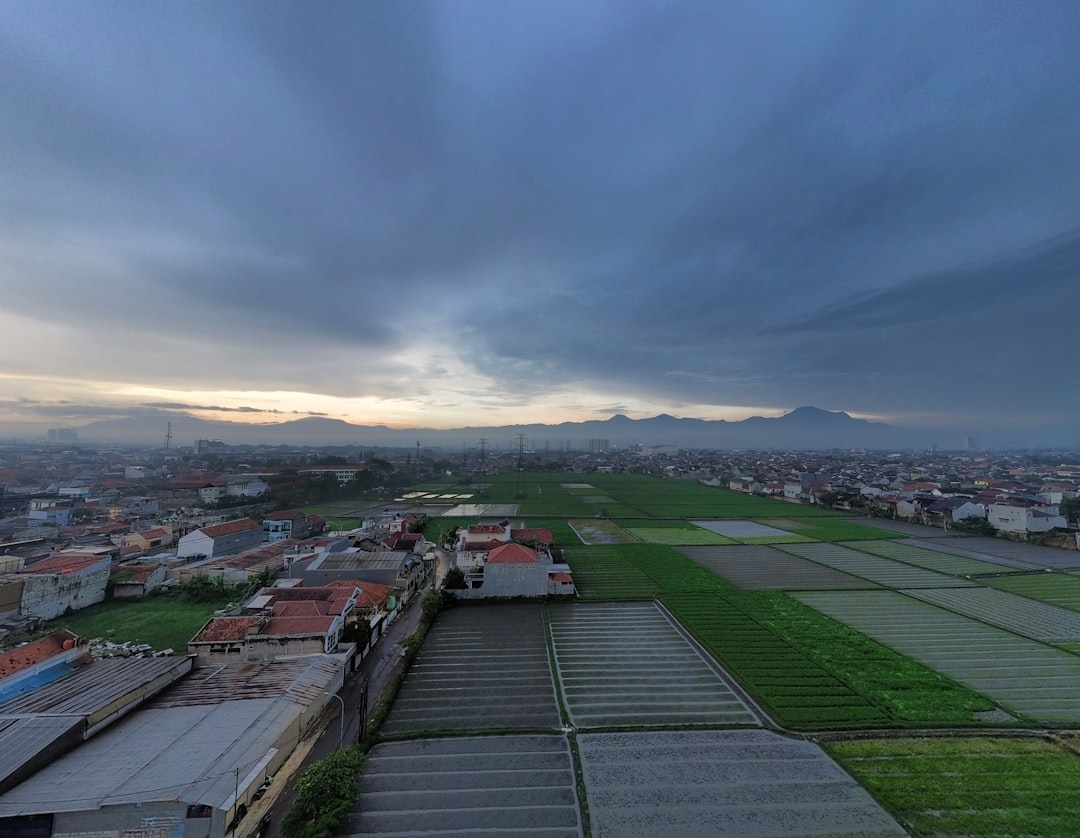 Foto Pemandangan Estetik Saat Kabut