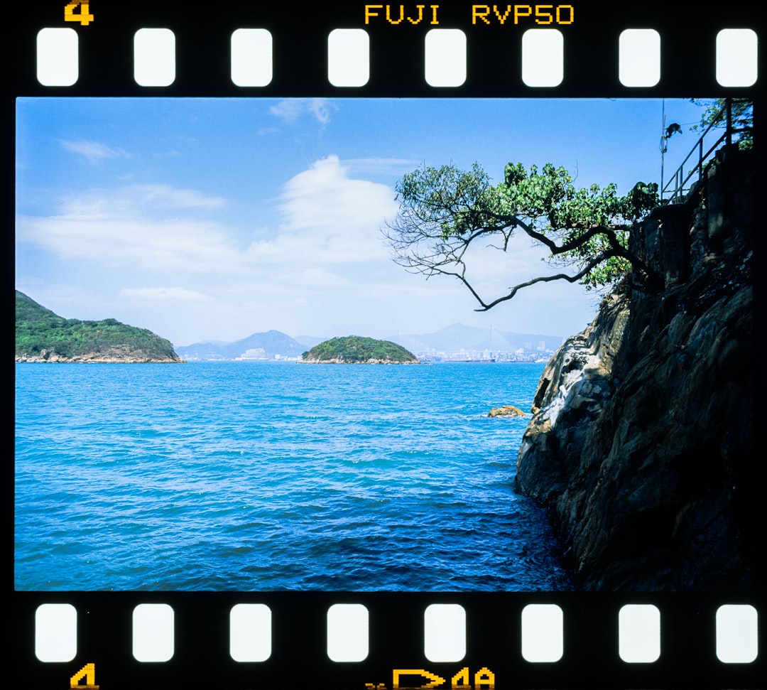 Detail Foto Pemandangan Film Analog Number 3