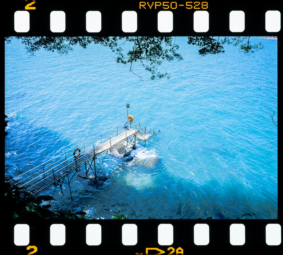Detail Foto Pemandangan Film Analog Number 17